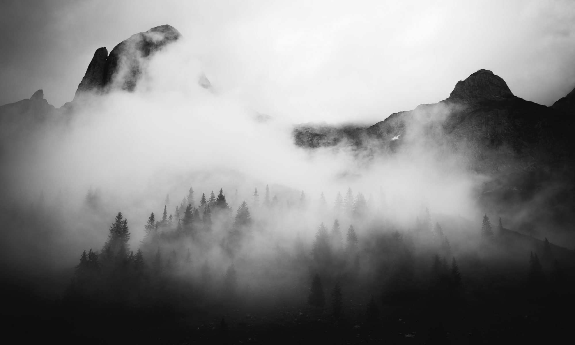Stay on top of your photos